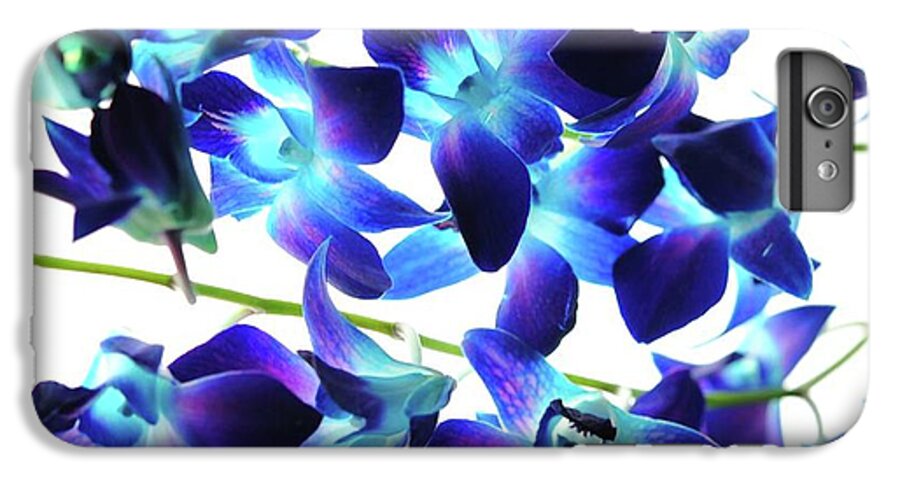 Purple Orchids - Phone Case