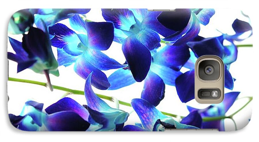 Purple Orchids - Phone Case