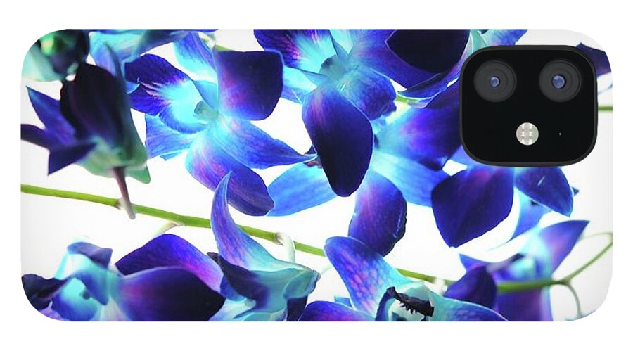 Purple Orchids - Phone Case