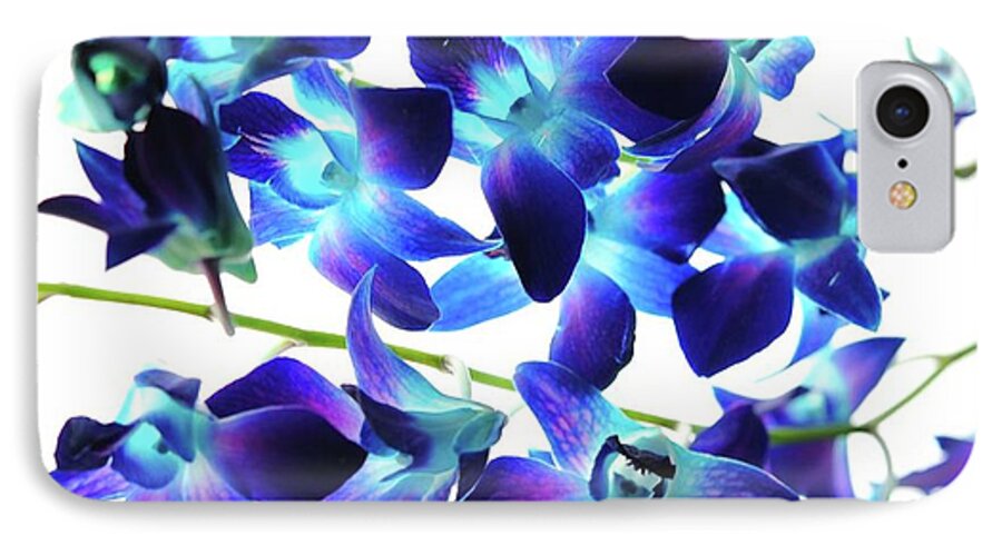 Purple Orchids - Phone Case