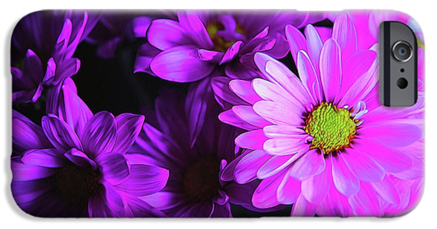 Purple Summer Daisies - Phone Case