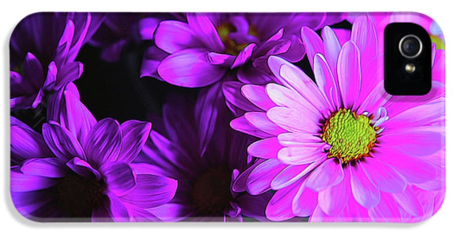 Purple Summer Daisies - Phone Case