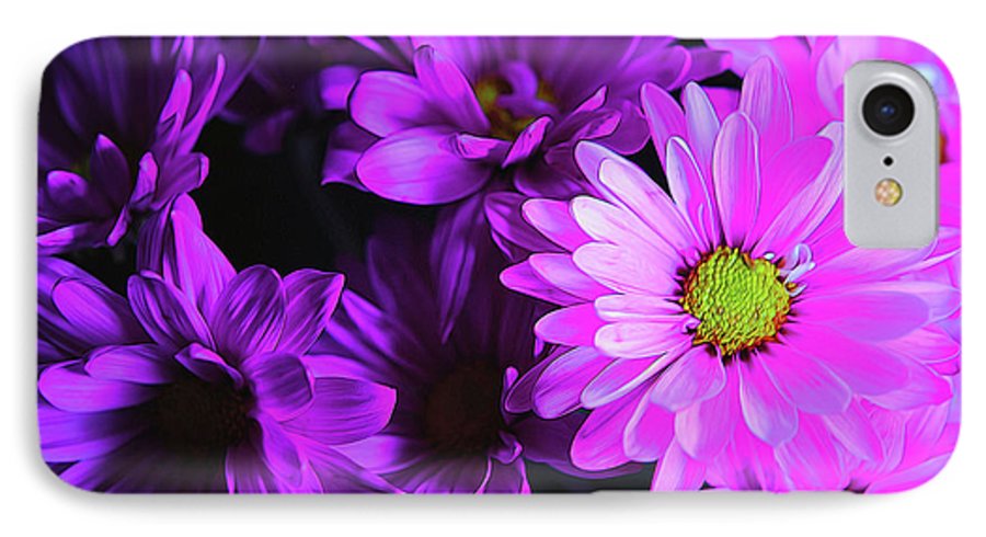Purple Summer Daisies - Phone Case