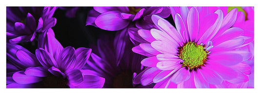 Purple Summer Daisies - Yoga Mat