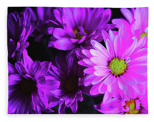 Purple Summer Daisies - Blanket