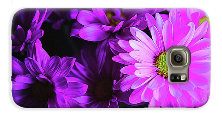 Purple Summer Daisies - Phone Case