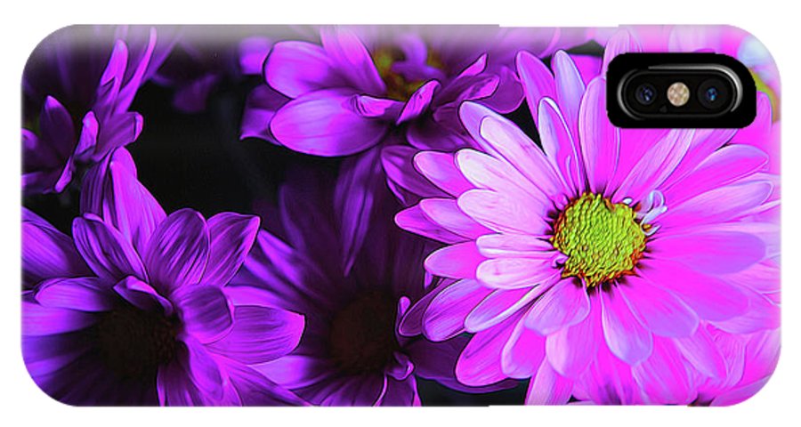 Purple Summer Daisies - Phone Case