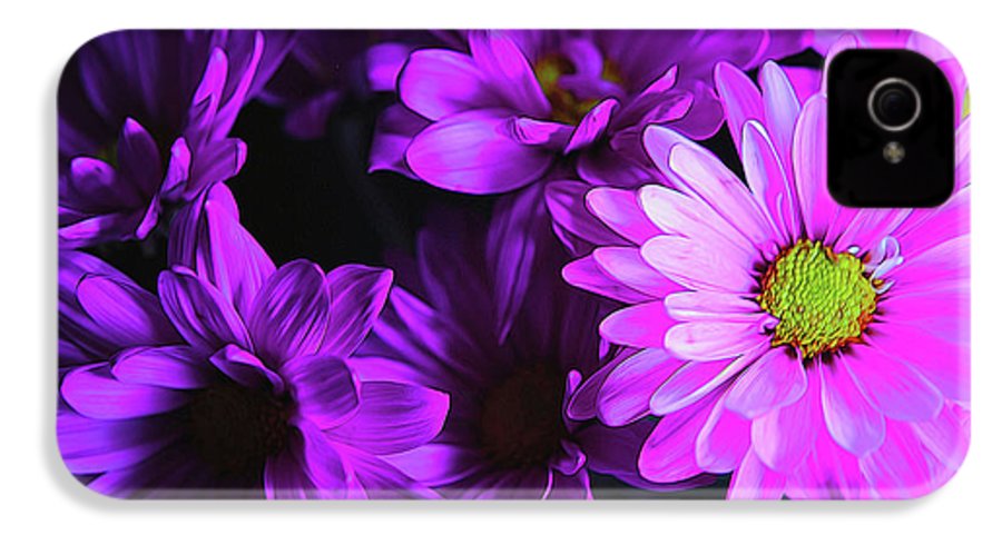 Purple Summer Daisies - Phone Case