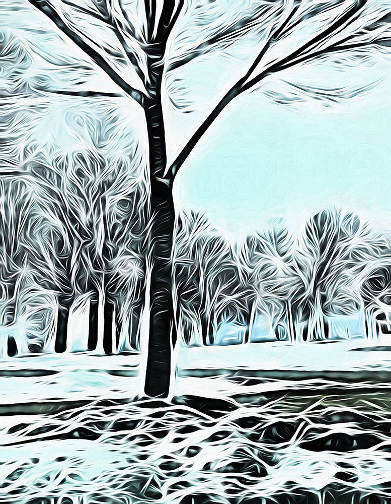 Lake Michigan in Winter Digital image Download