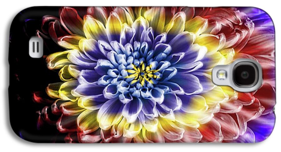 Rainbow Chrysanthemum - Phone Case