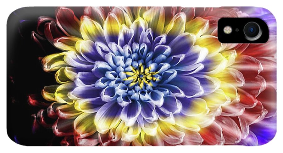 Rainbow Chrysanthemum - Phone Case