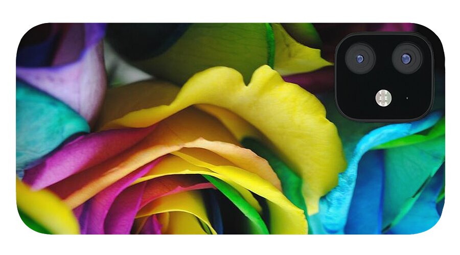 Rainbow Roses 19 - Phone Case