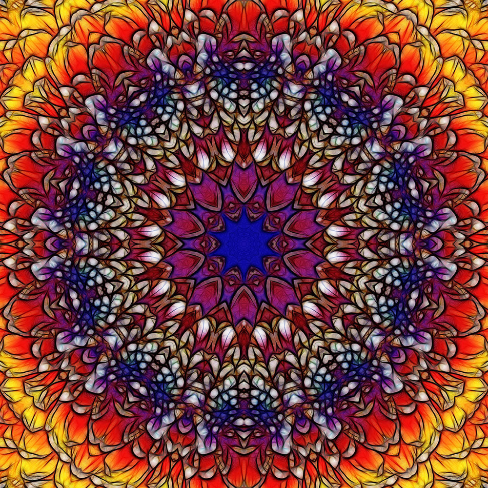 Rainbow Flower Petals Kaleidoscope Digital Image Download
