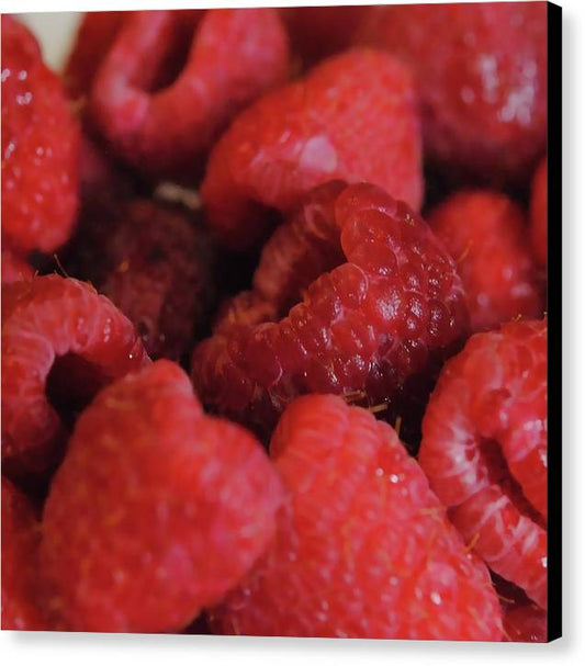 Raspberries - Canvas Print