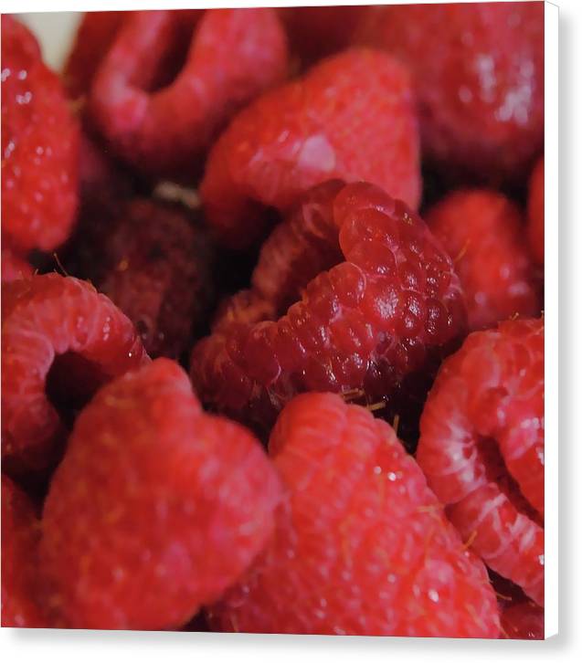 Raspberries - Canvas Print
