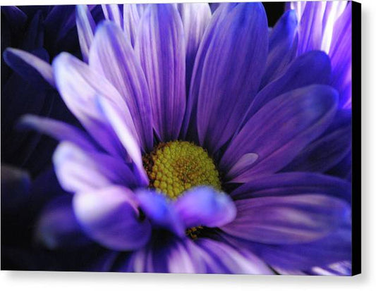 Raw Flowers 10 - Canvas Print