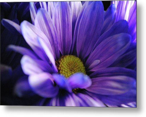 Raw Flowers 10 - Metal Print