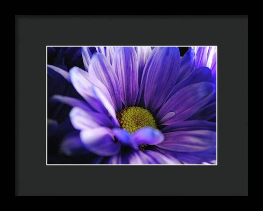 Raw Flowers 10 - Framed Print