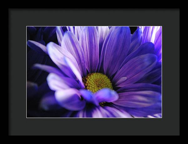 Raw Flowers 10 - Framed Print