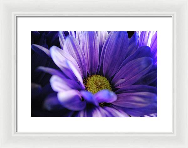 Raw Flowers 10 - Framed Print