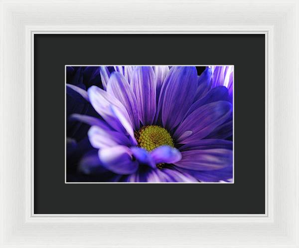 Raw Flowers 10 - Framed Print