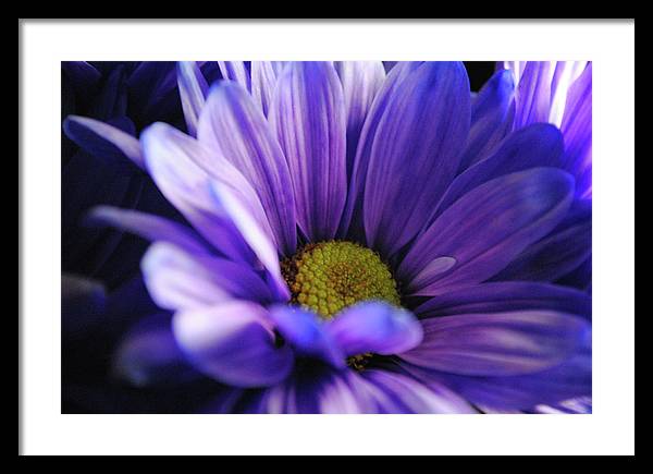 Raw Flowers 10 - Framed Print
