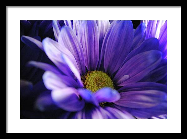 Raw Flowers 10 - Framed Print