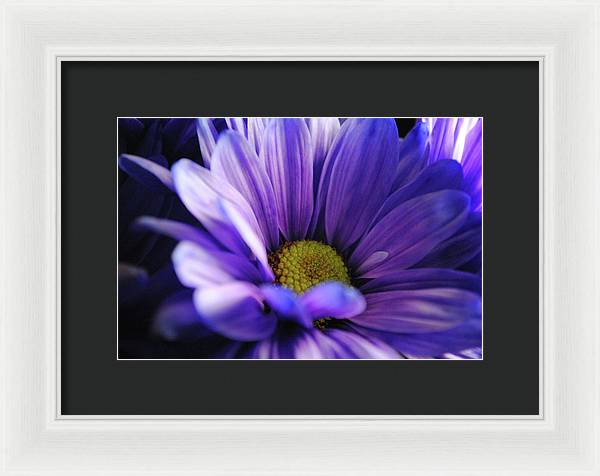 Raw Flowers 10 - Framed Print