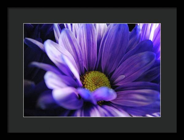 Raw Flowers 10 - Framed Print
