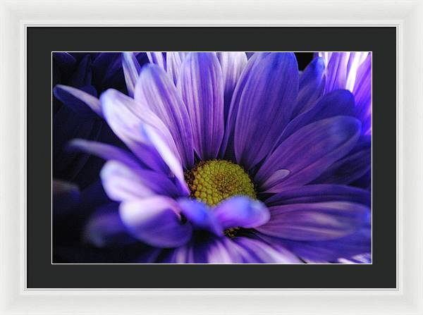 Raw Flowers 10 - Framed Print