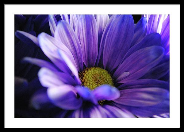 Raw Flowers 10 - Framed Print