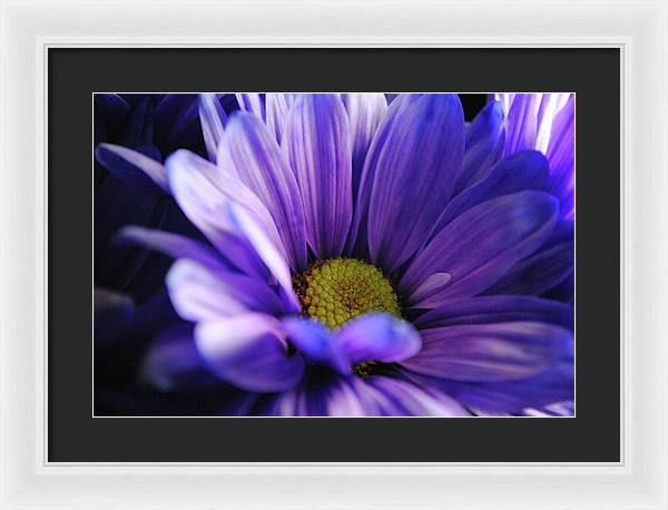 Raw Flowers 10 - Framed Print