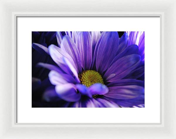 Raw Flowers 10 - Framed Print