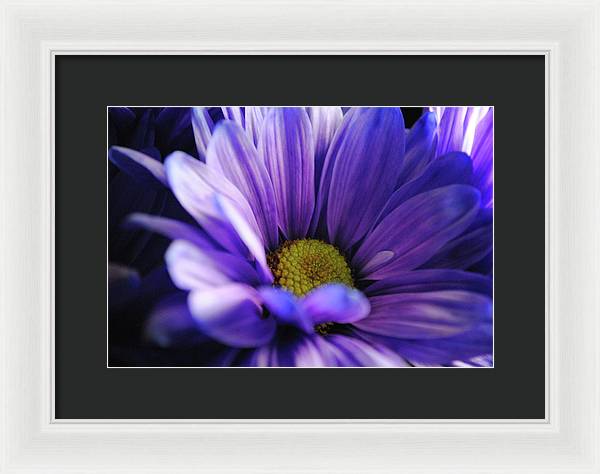 Raw Flowers 10 - Framed Print