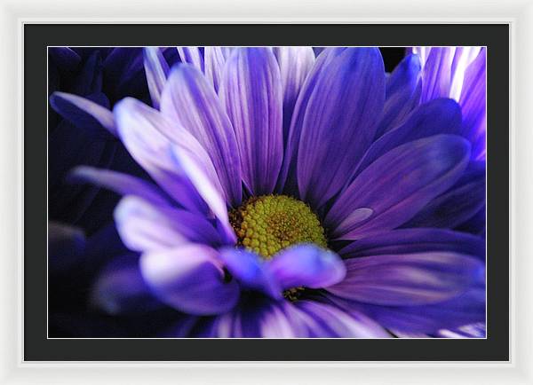 Raw Flowers 10 - Framed Print