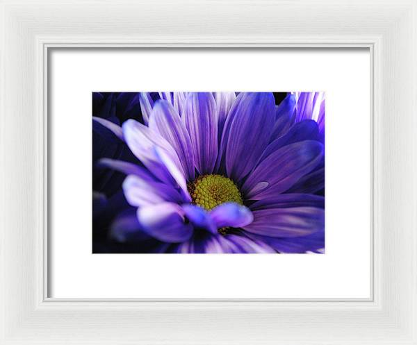 Raw Flowers 10 - Framed Print