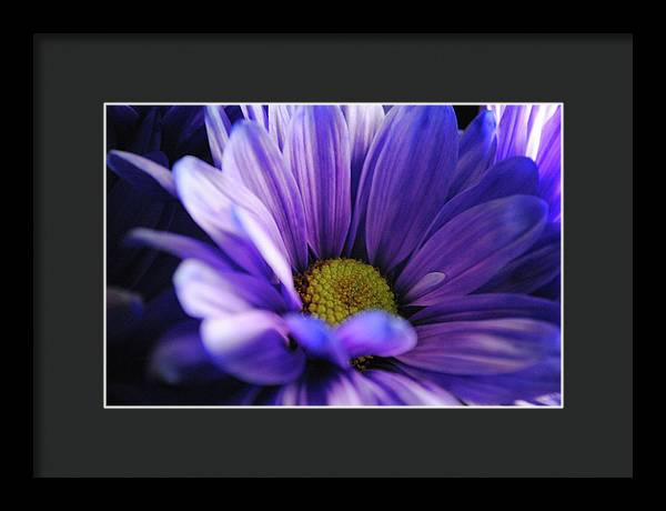 Raw Flowers 10 - Framed Print