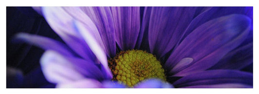 Raw Flowers 10 - Yoga Mat