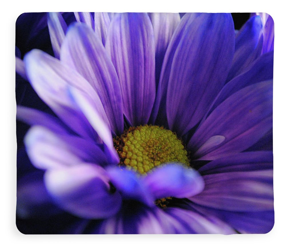 Raw Flowers 10 - Blanket
