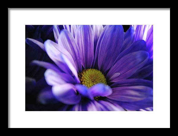 Raw Flowers 10 - Framed Print