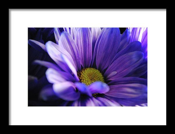 Raw Flowers 10 - Framed Print