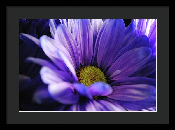 Raw Flowers 10 - Framed Print