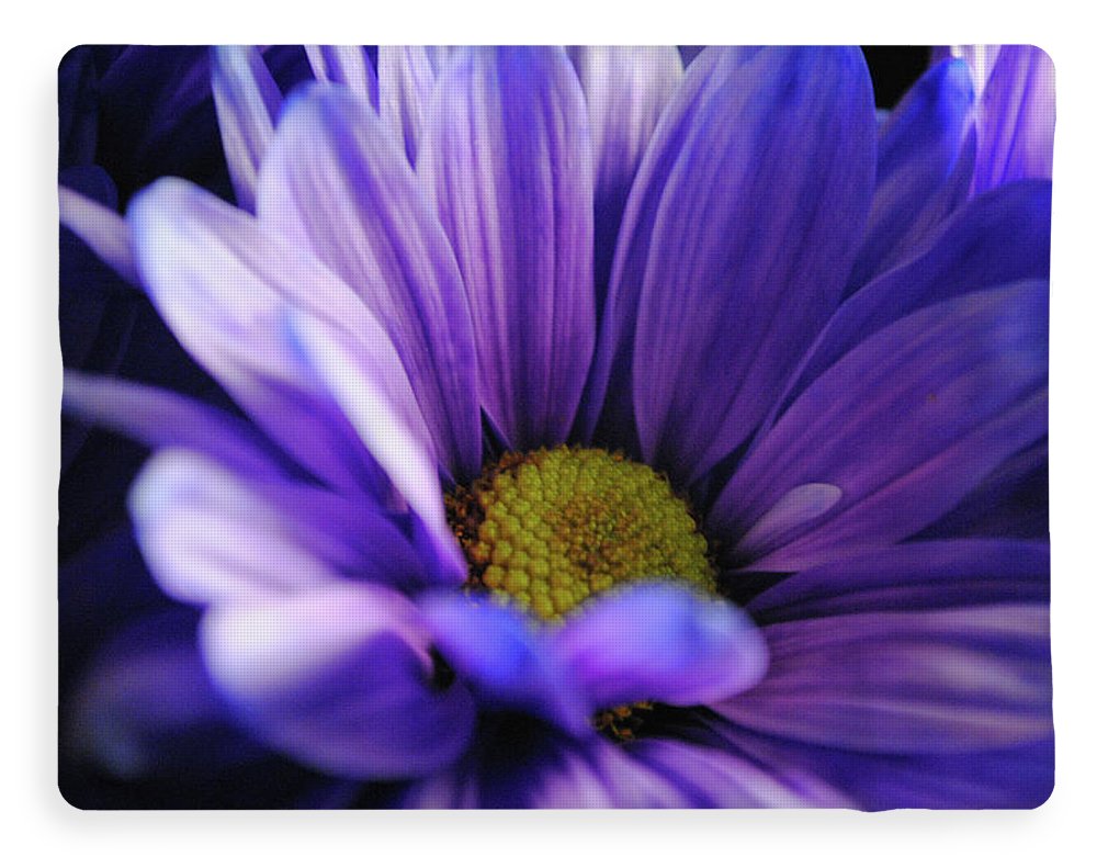 Raw Flowers 10 - Blanket