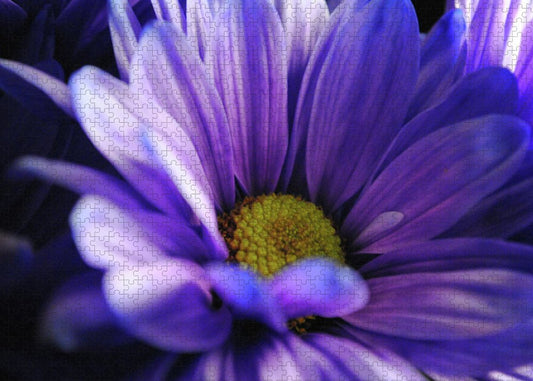 Raw Flowers 10 - Puzzle