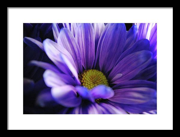 Raw Flowers 10 - Framed Print