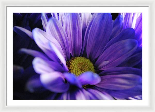 Raw Flowers 10 - Framed Print