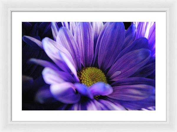 Raw Flowers 10 - Framed Print