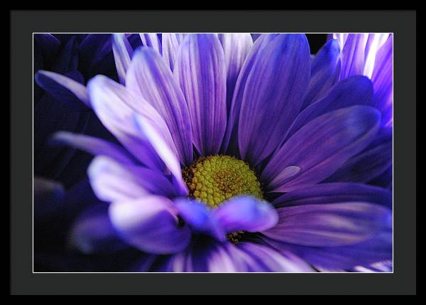 Raw Flowers 10 - Framed Print