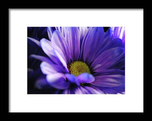 Raw Flowers 10 - Framed Print