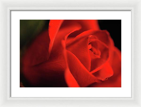 Raw Flowers 12 - Framed Print